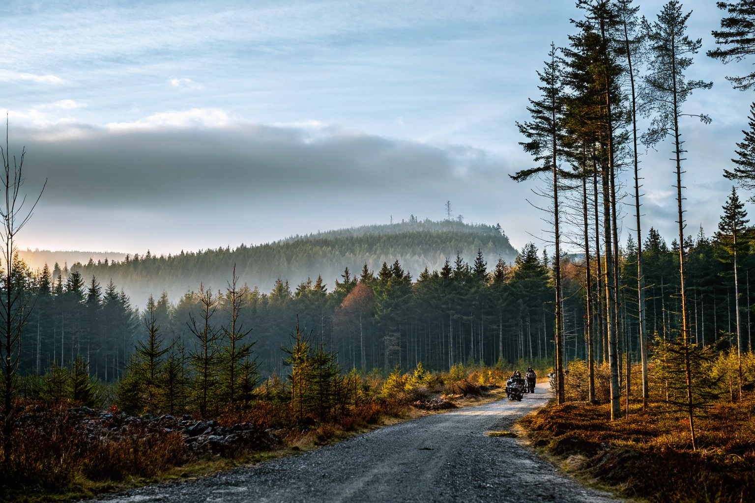 Harz Wäldermalerie