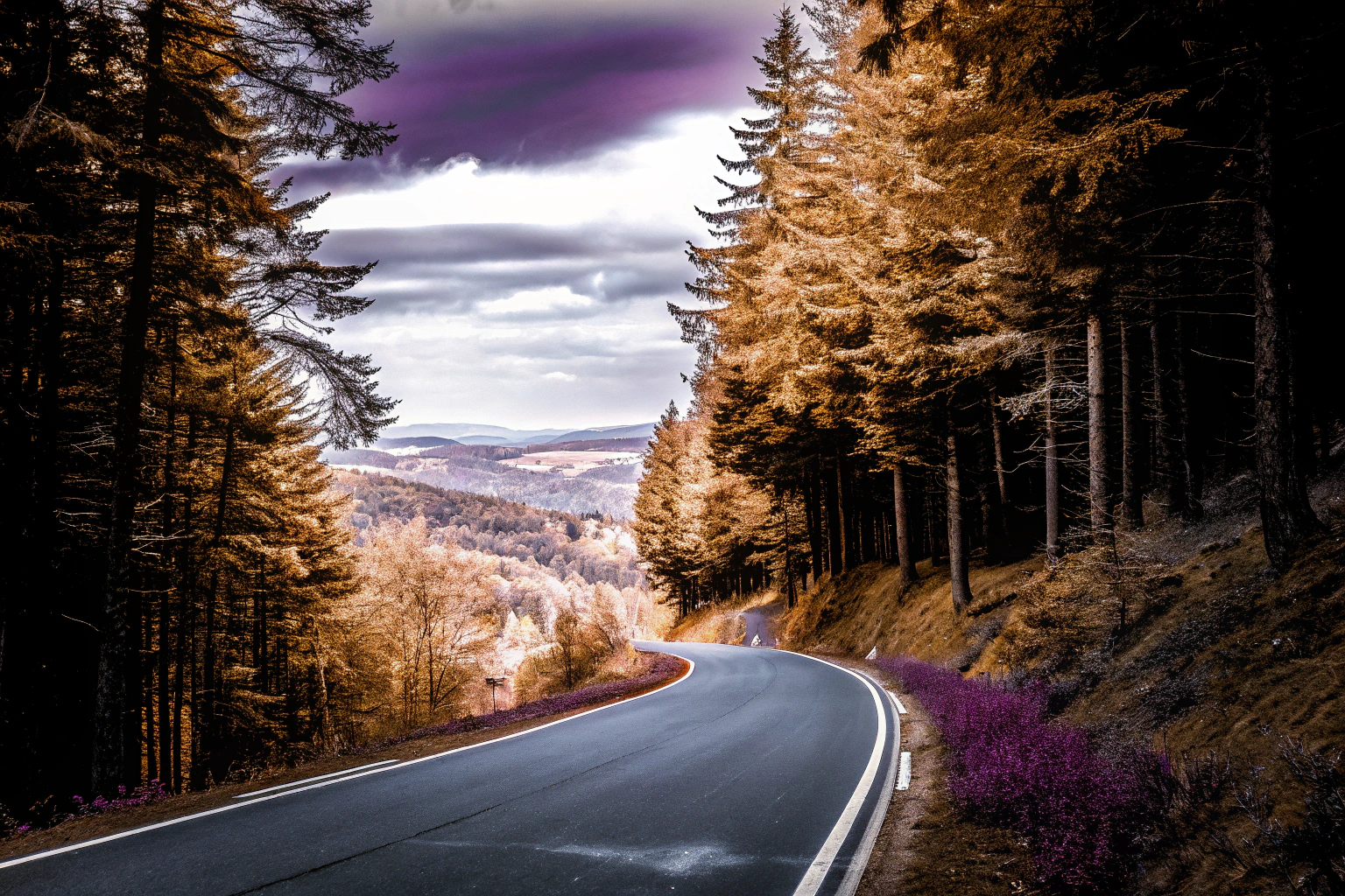 Motorradroute im Schwarzwald