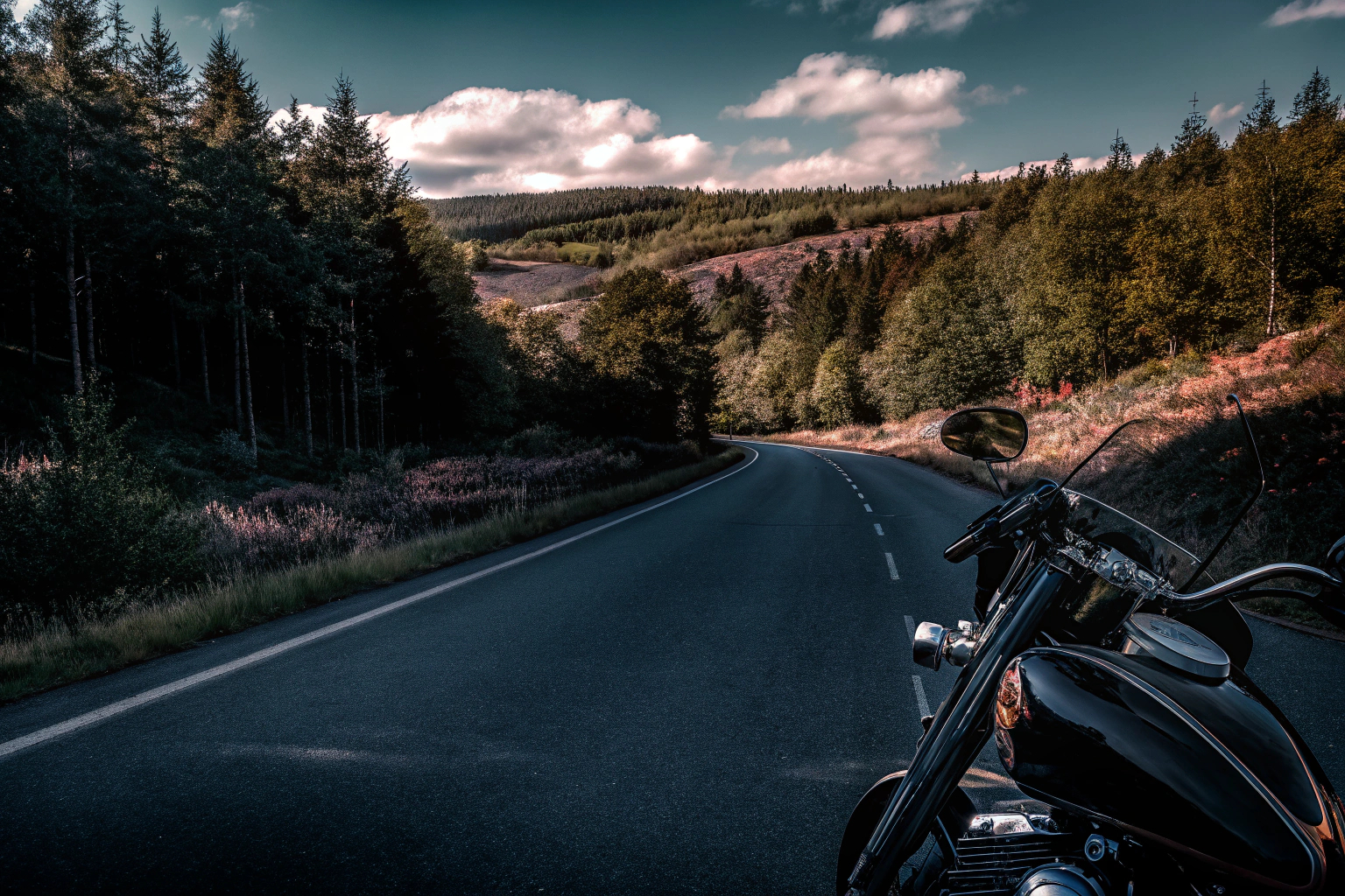 Motorradfahrer auf der Harz-Heide-Route